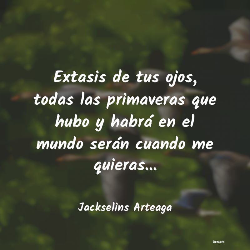 frases de Jackselins Arteaga