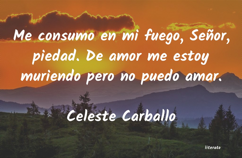 frases de Celeste Carballo