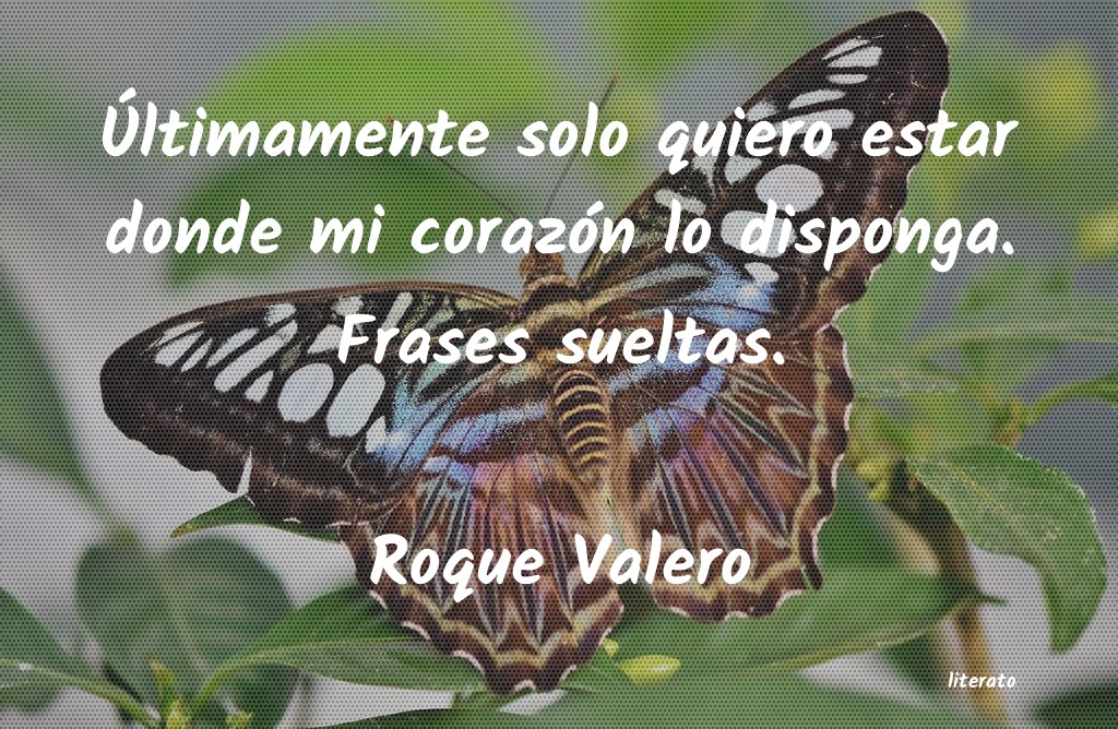 frases de Roque Valero