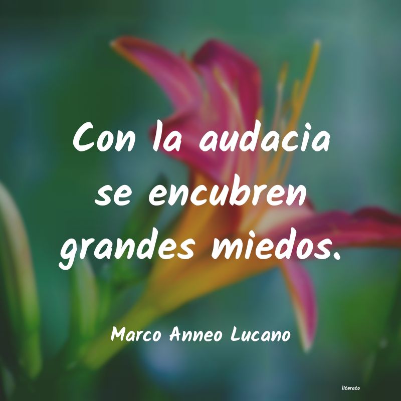 Frases de Marco Anneo Lucano