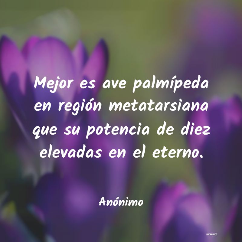 frases