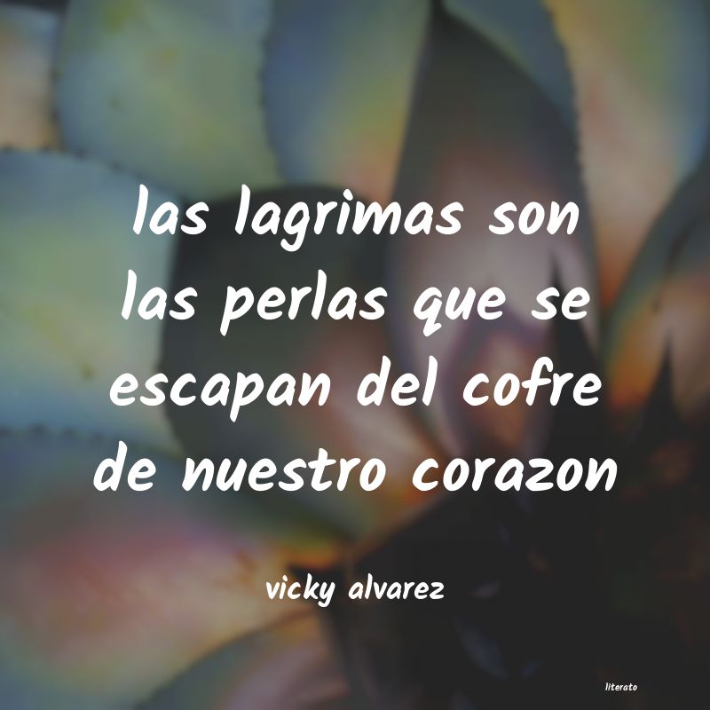 Frases de vicky alvarez