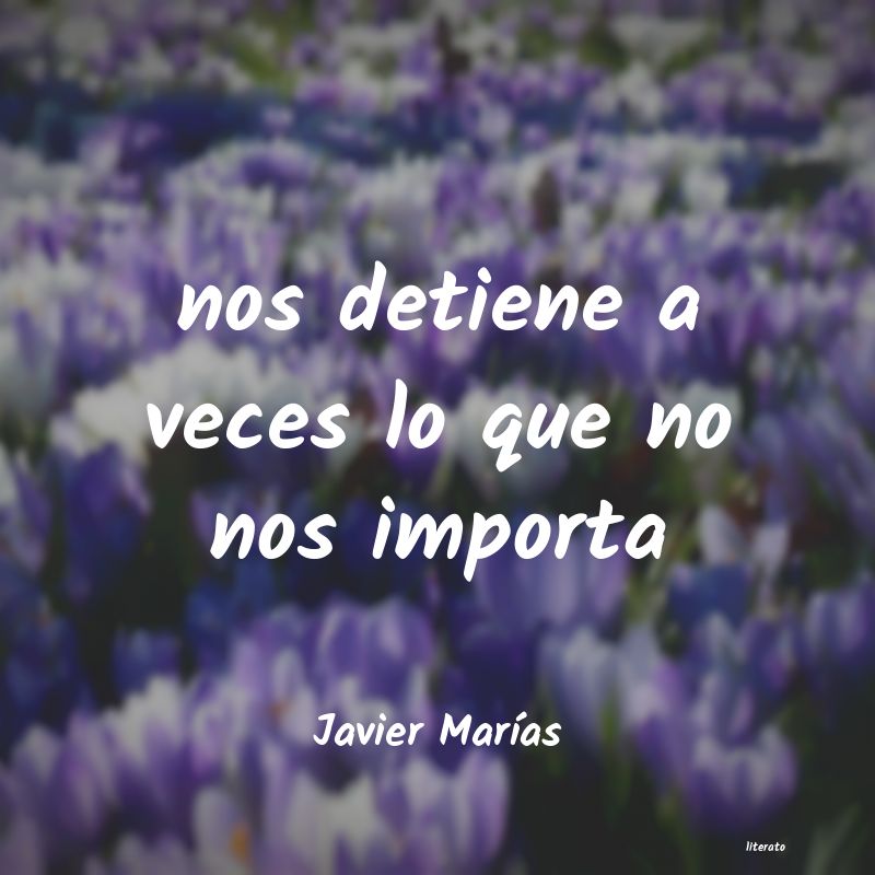 Frases de Javier Marías