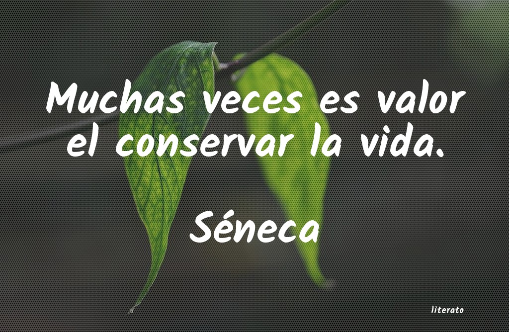 frases de Séneca