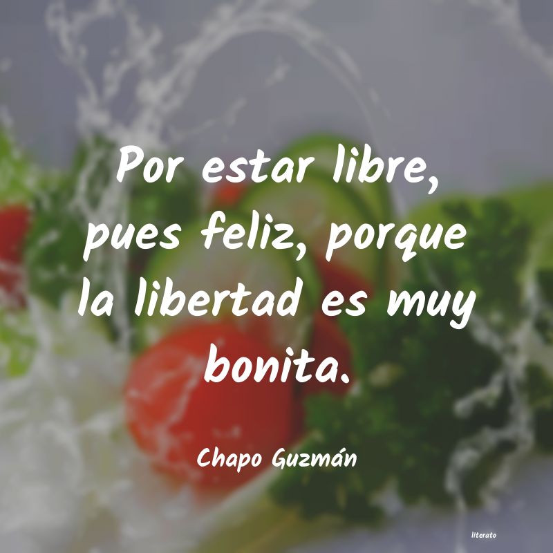 frases de Chapo Guzmán