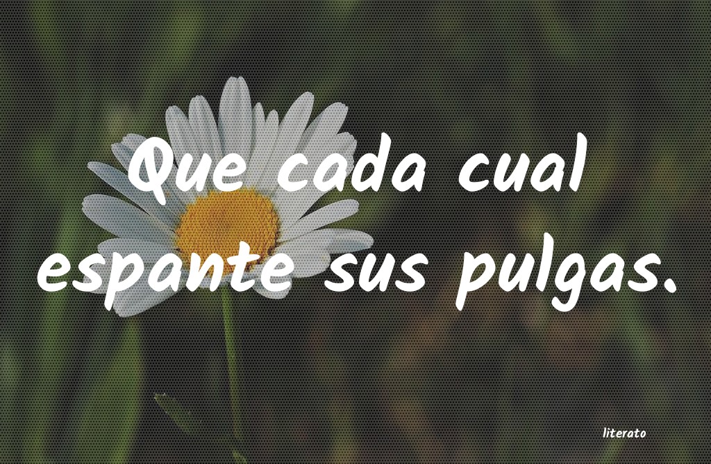 frases
