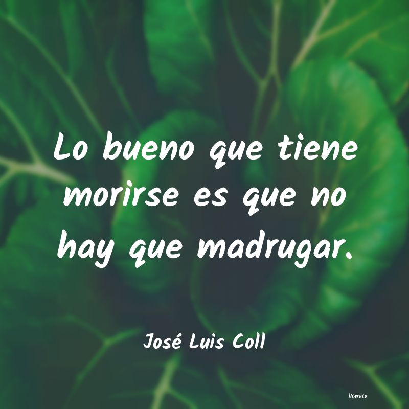 frases de José Luis Coll