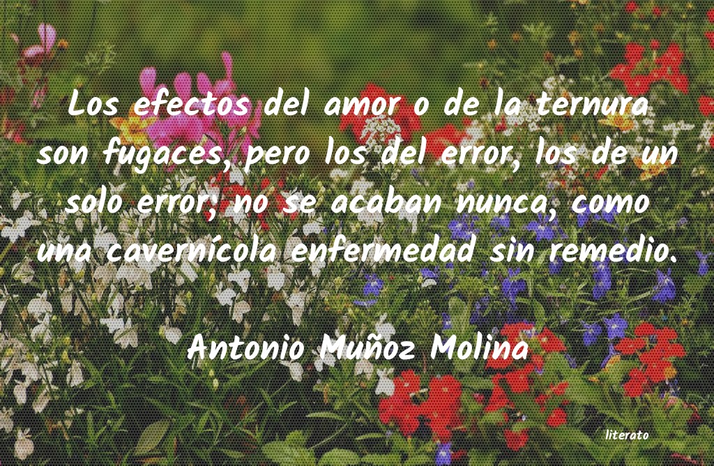 frases de Antonio Muñoz Molina