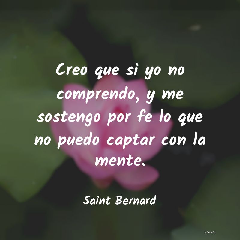 Frases de Saint Bernard