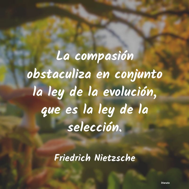 Frases de Friedrich Nietzsche