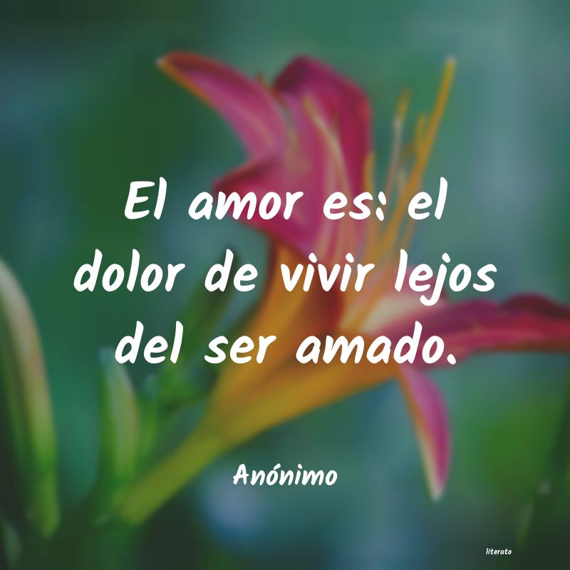 frases de sentimientos