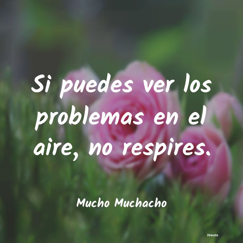 frases de Mucho Muchacho