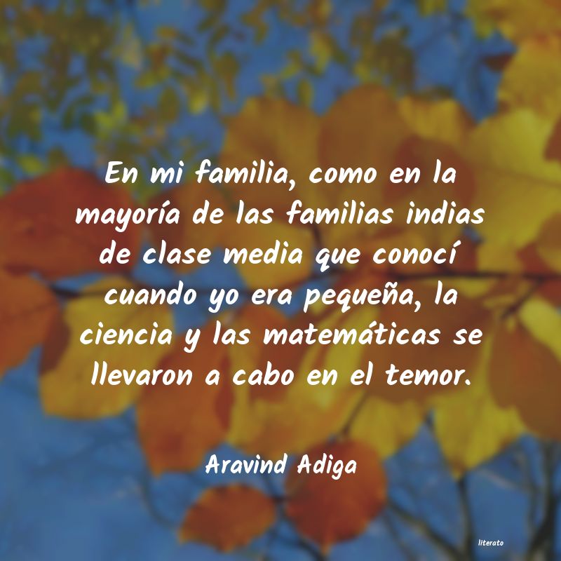 Frases de Aravind Adiga