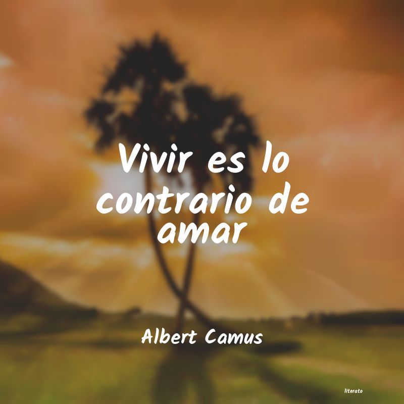 albert camus amar