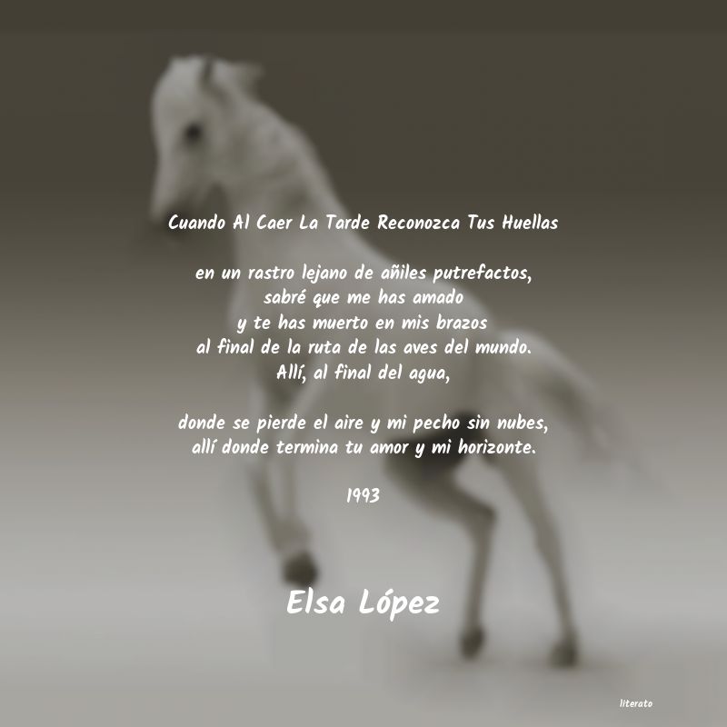 Frases de Elsa López