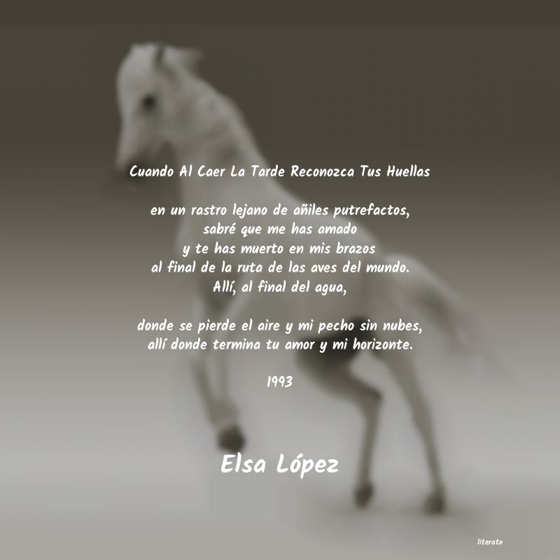 frases de Elsa López