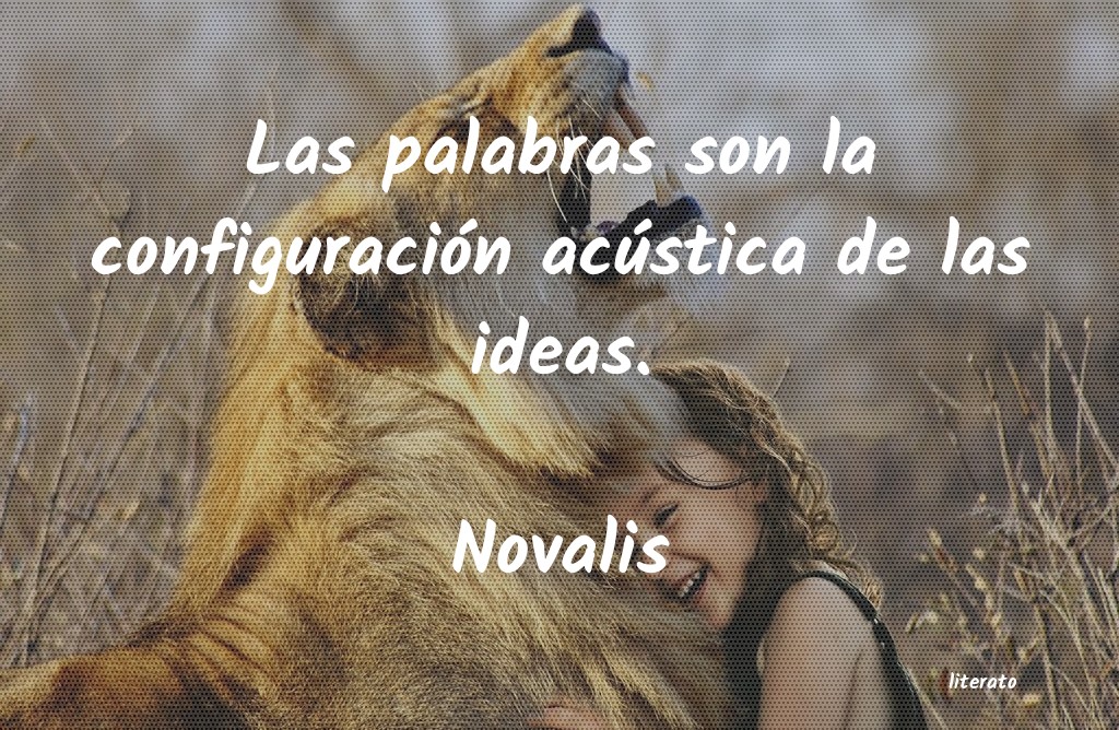 Frases de Novalis