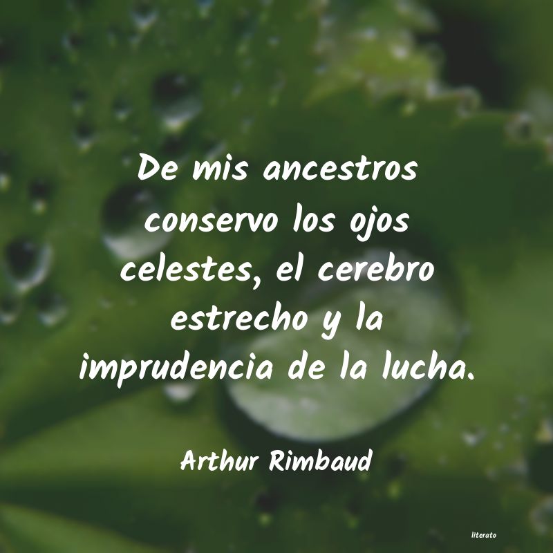 Frases de Arthur Rimbaud