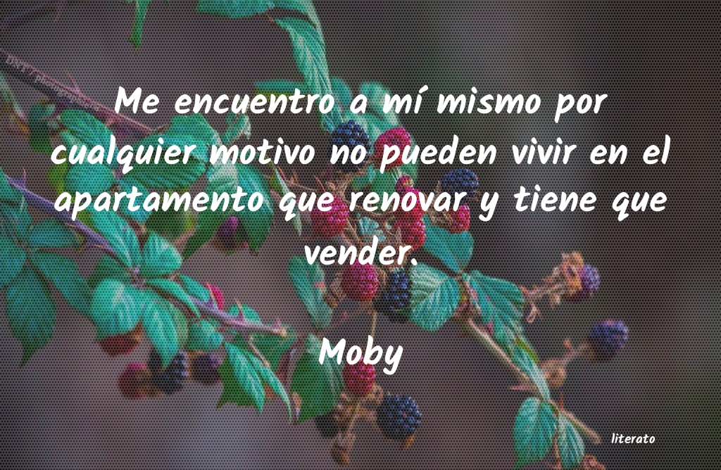 Frases de Moby