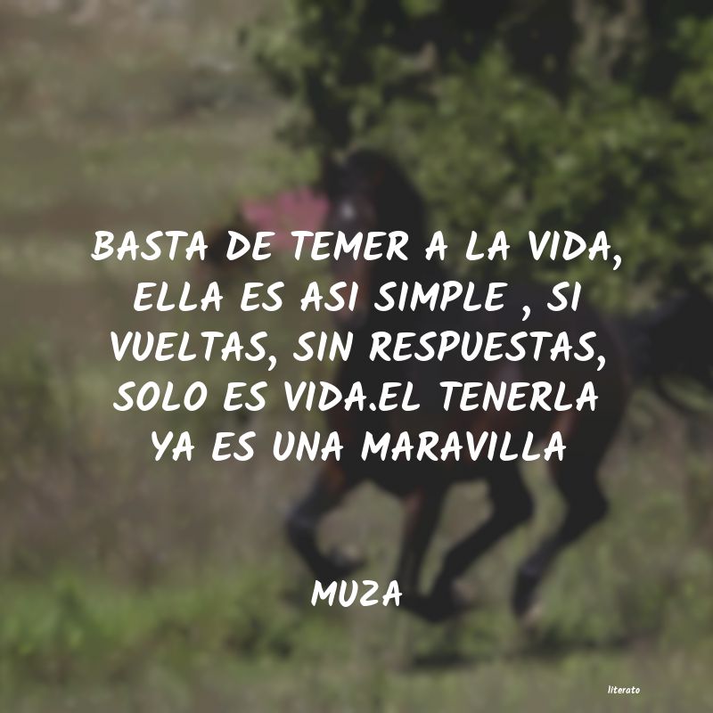 Frases de MUZA