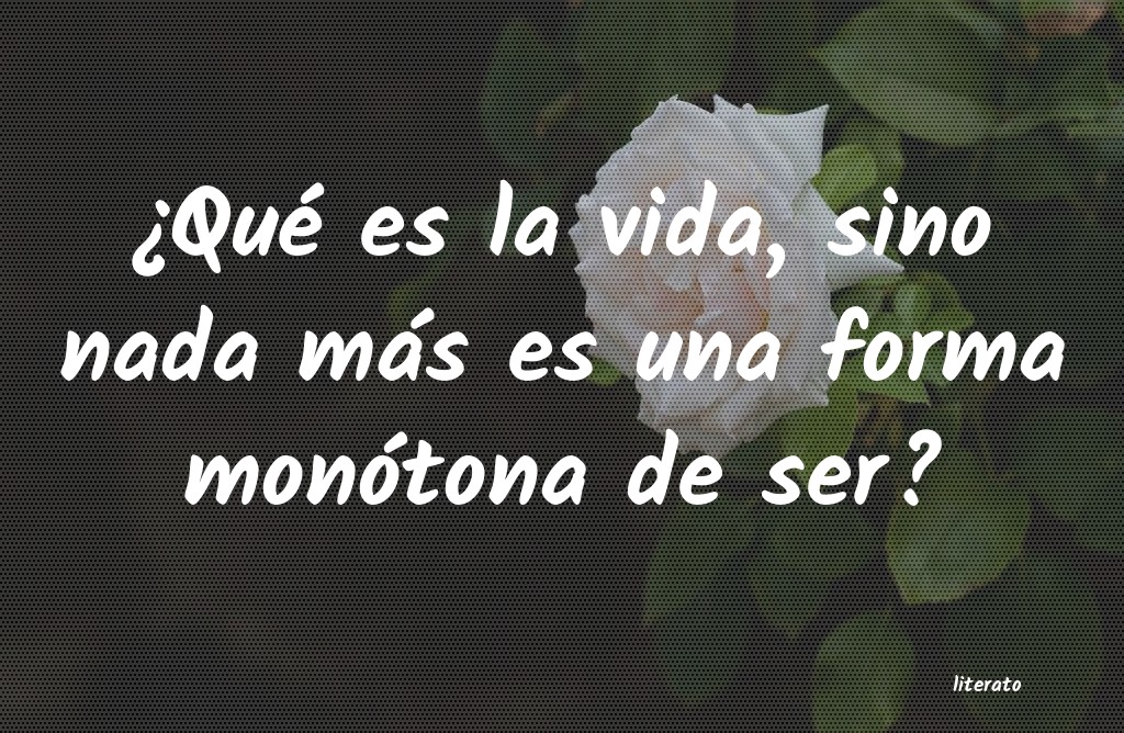 frases