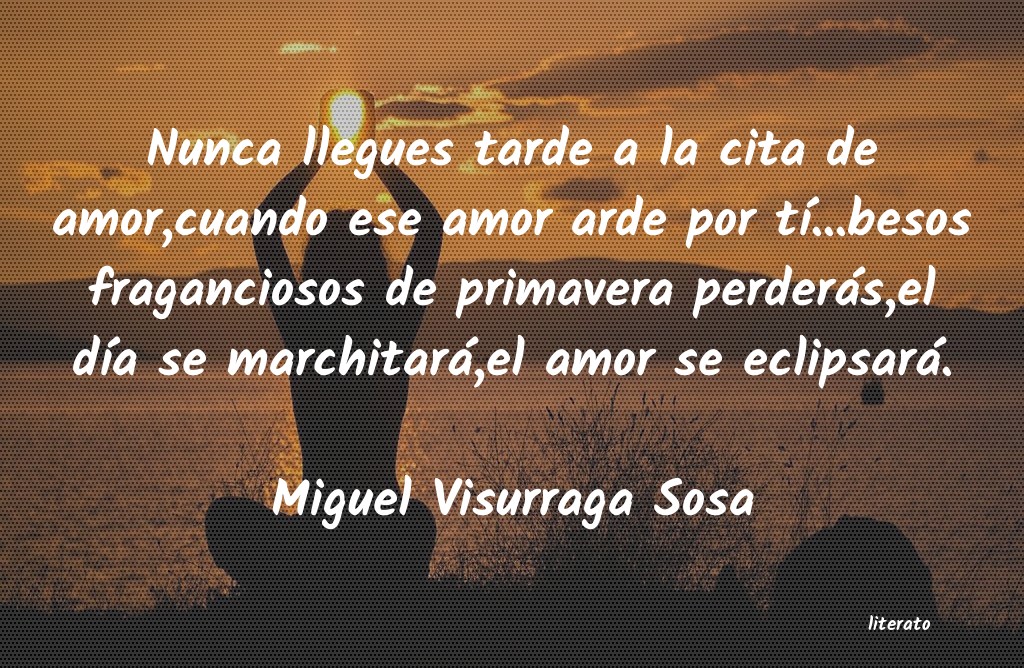 frases de Miguel Visurraga Sosa