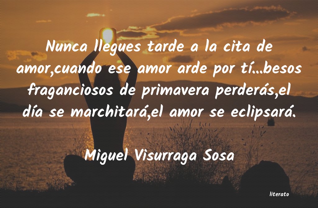 Frases de Miguel Visurraga Sosa