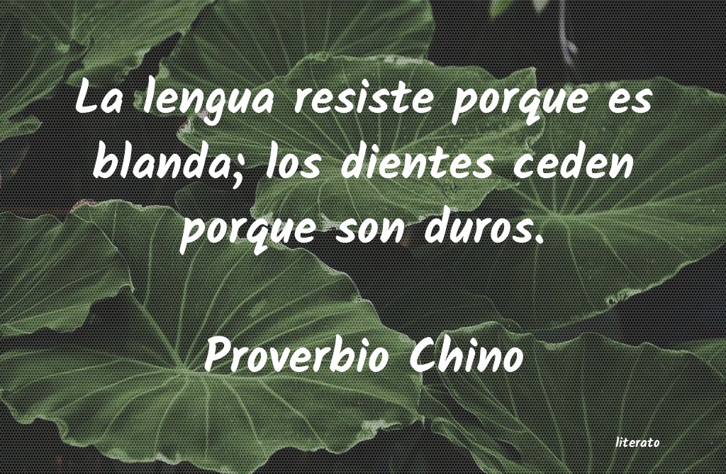 Frases de Proverbio Chino