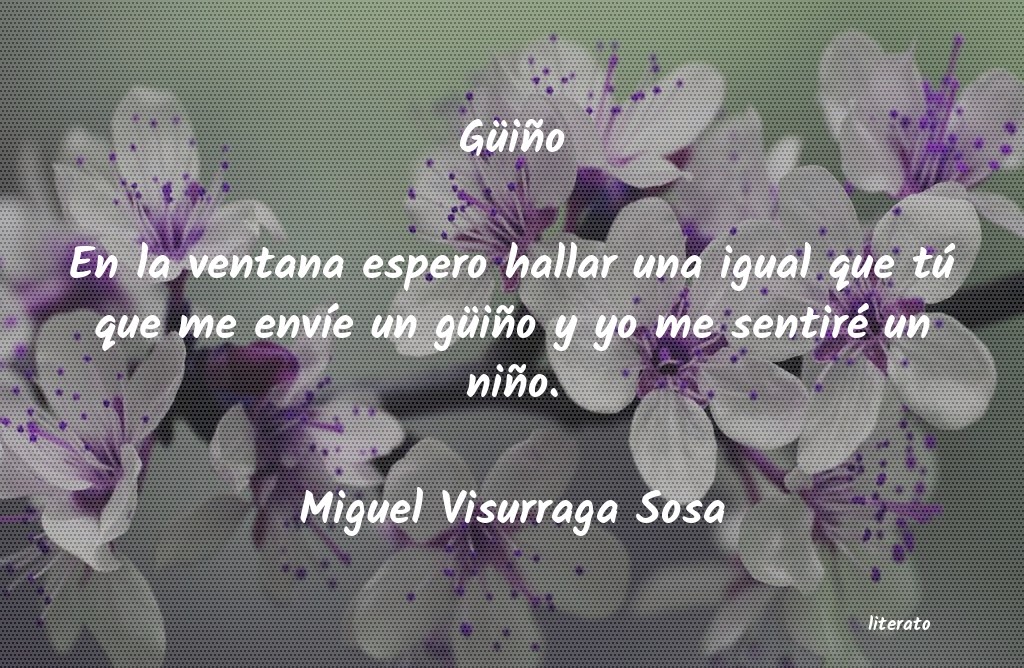 Frases de Miguel Visurraga Sosa