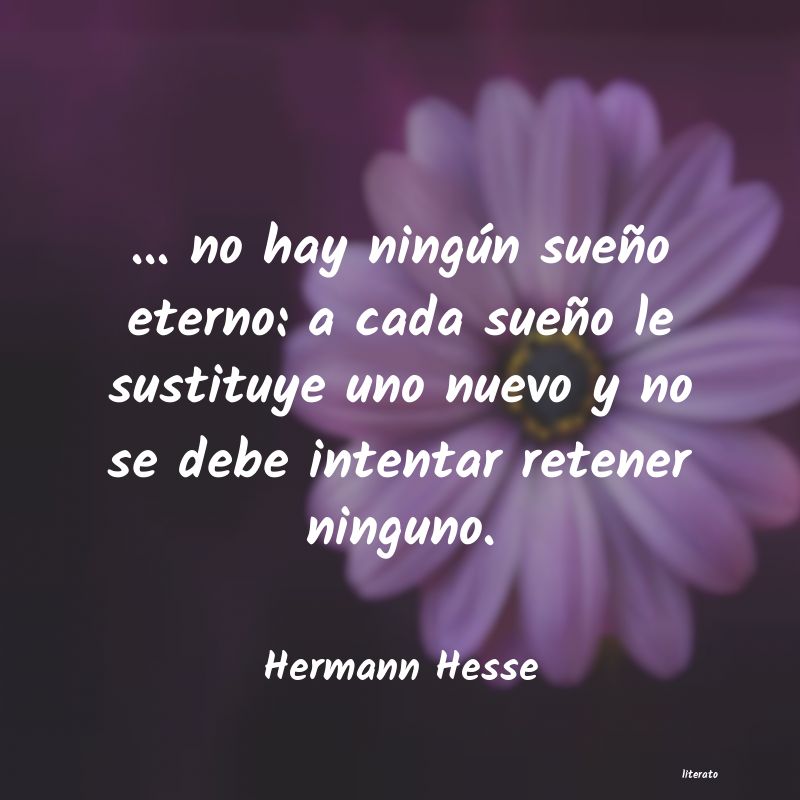 Frases de Hermann Hesse