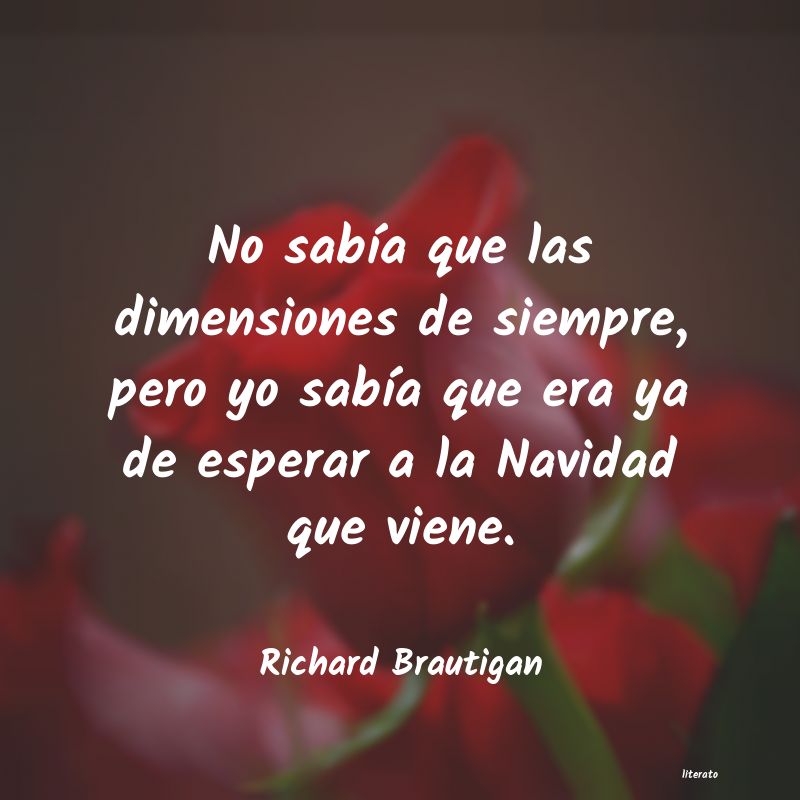 Frases de Richard Brautigan