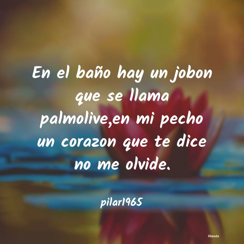 Frases de pilar1965