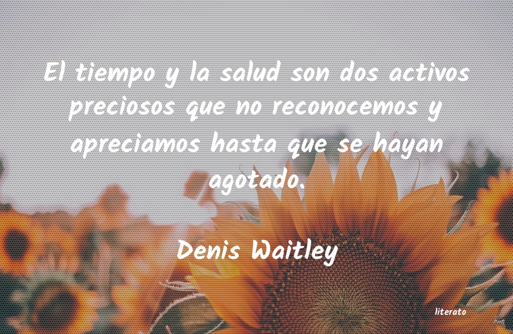 frases de Denis Waitley