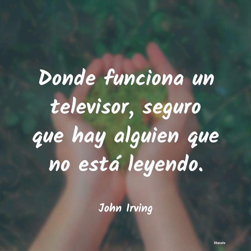 Frases de John Irving