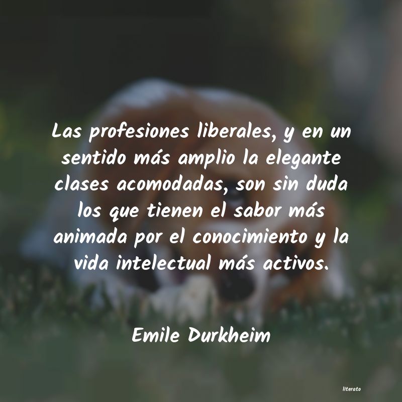 Frases de Emile Durkheim