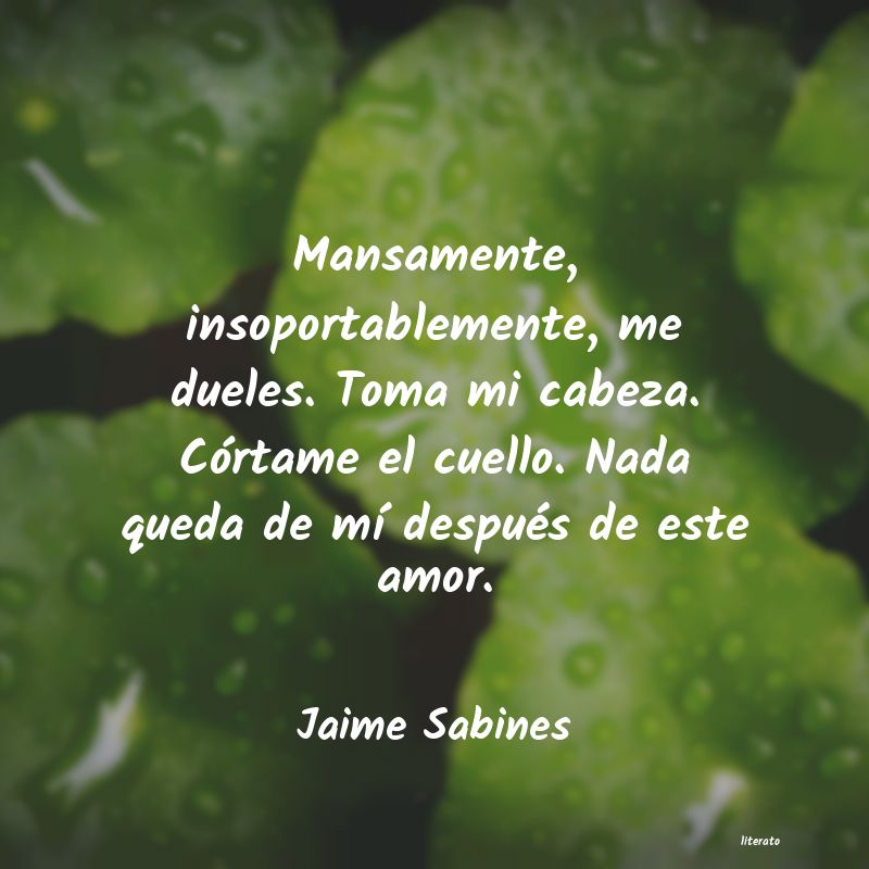 Frases de Jaime Sabines