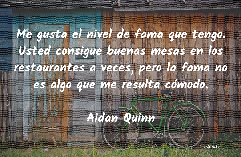 Frases de Aidan Quinn