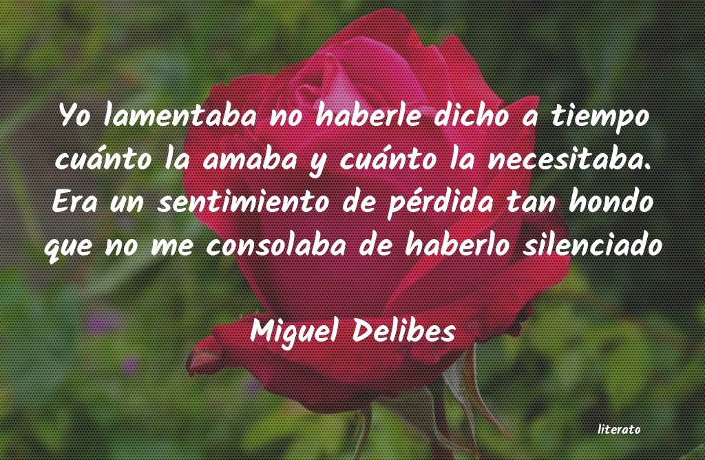 frases de Miguel Delibes
