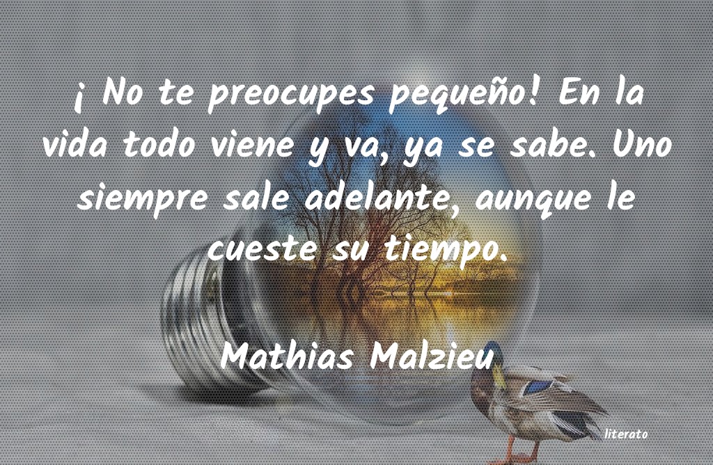 Frases de Mathias Malzieu