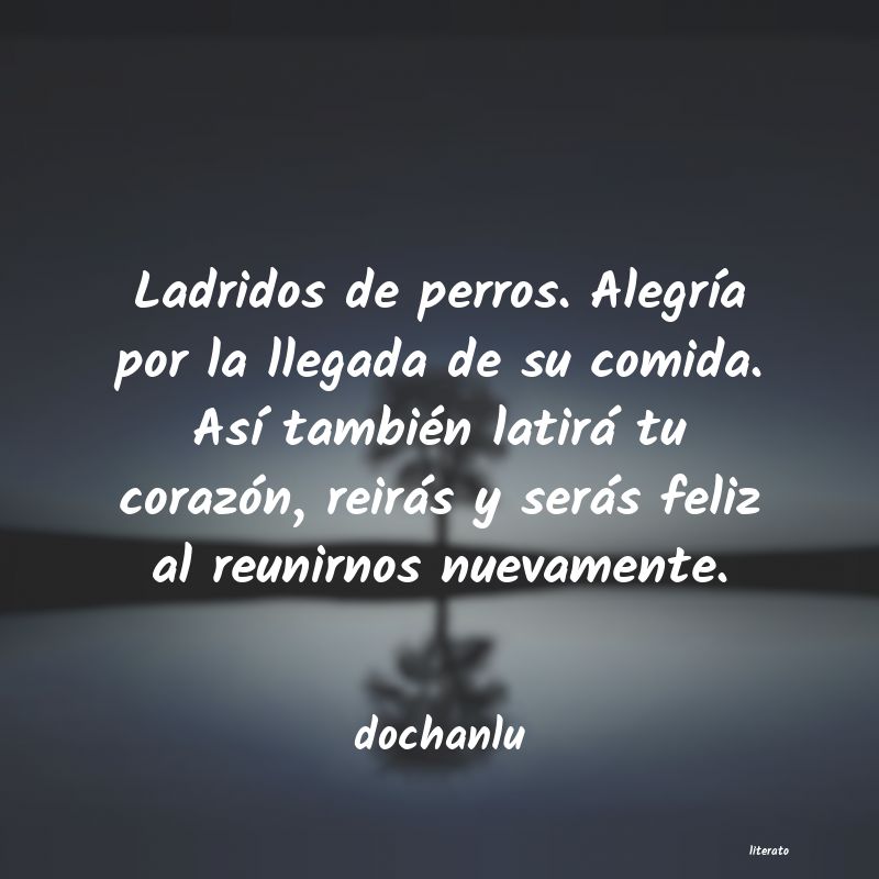 Frases de dochanlu