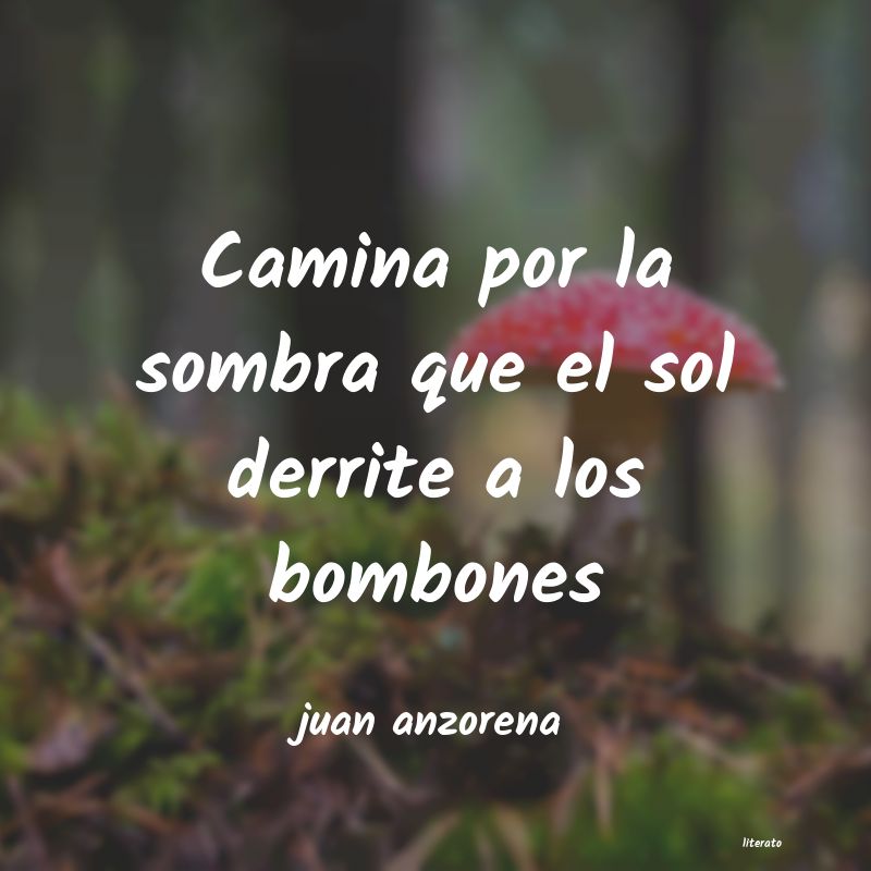 Frases de juan anzorena