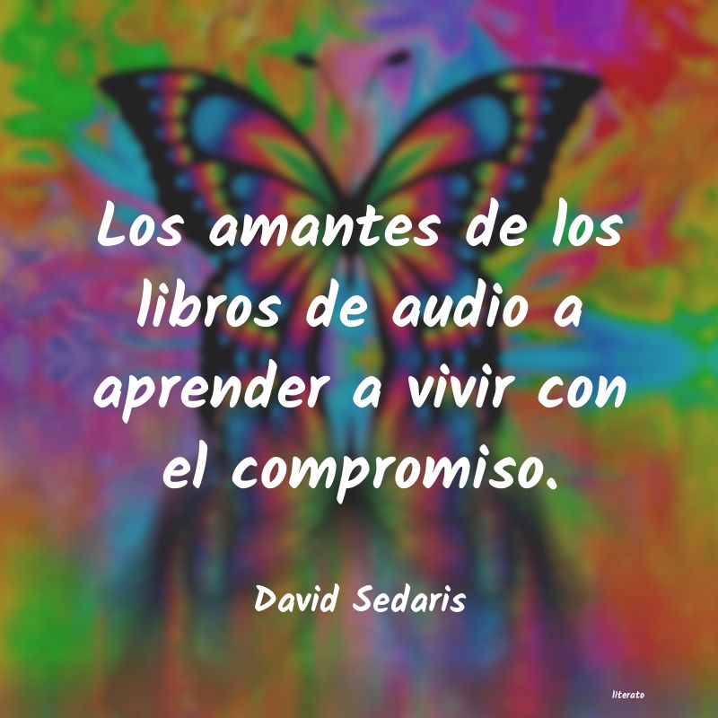 Frases de David Sedaris