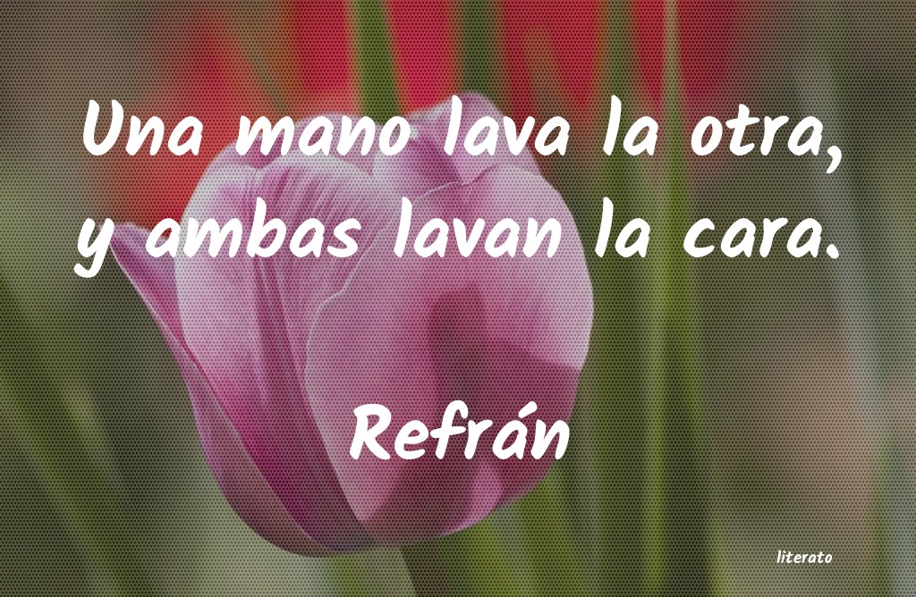 frases de Refrán