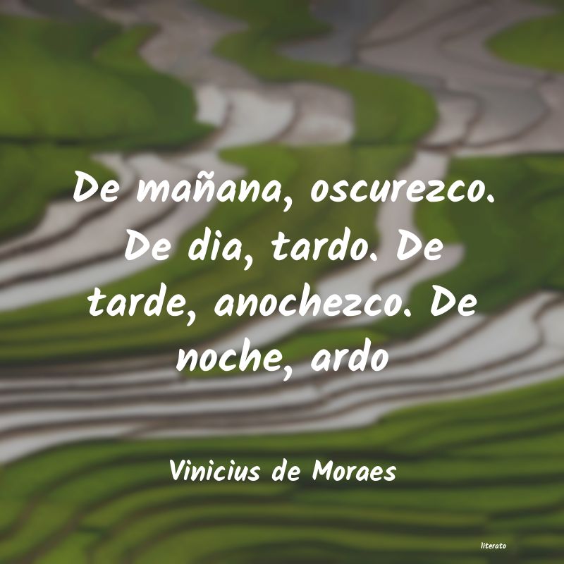 frases de Vinicius de Moraes