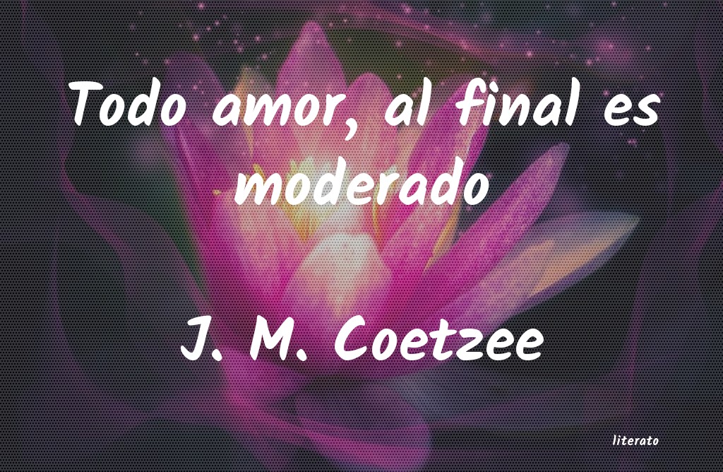 frases de J. M. Coetzee