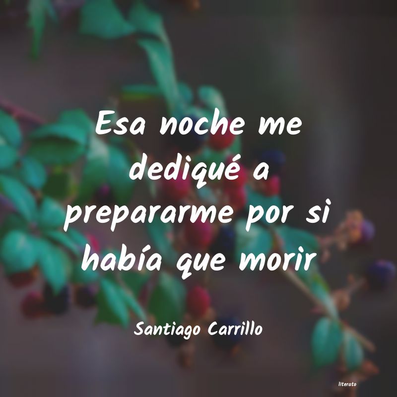 Frases de Santiago Carrillo