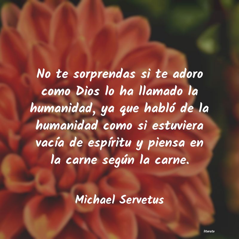 Frases de Michael Servetus