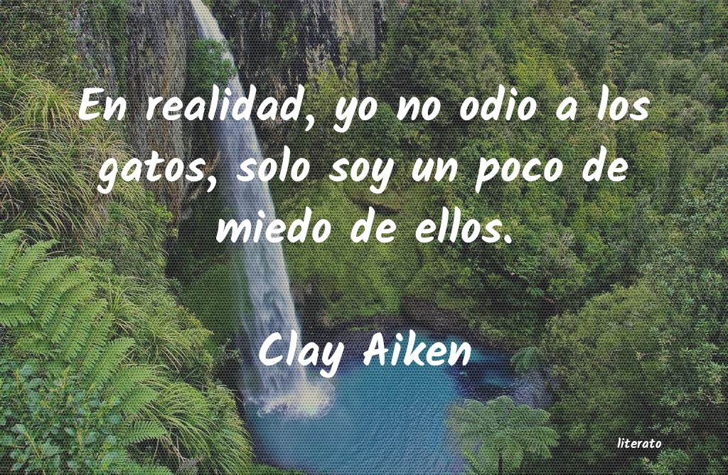 frases de Clay Aiken