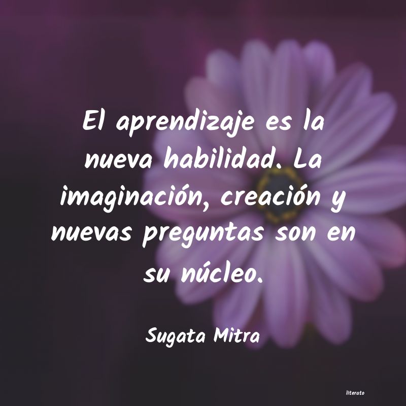 Frases de Sugata Mitra