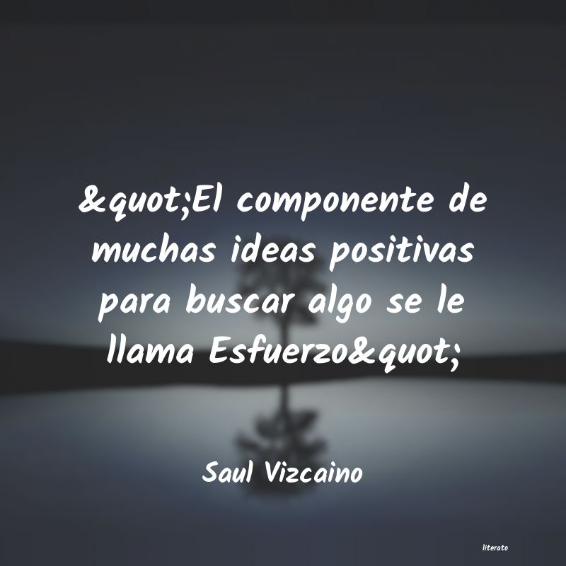 Frases de Saul Vizcaino